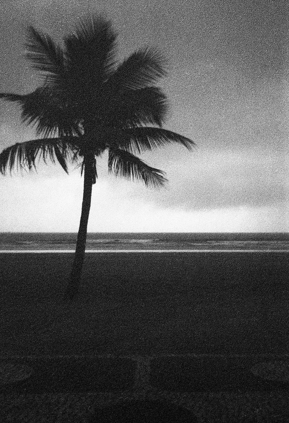 Ana Paula dos Santos: Untitled (Deconstructing a Place in the Sun)