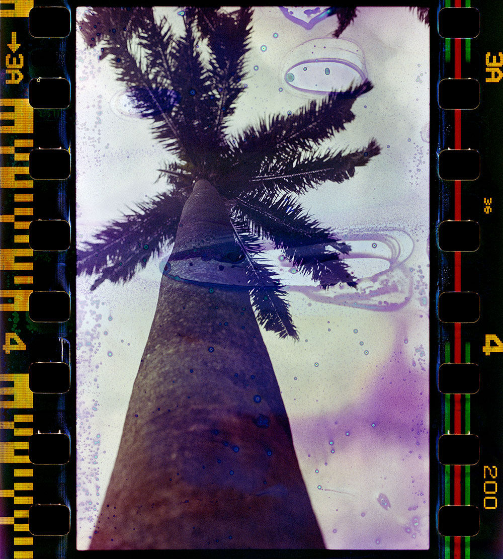 Ana Paula dos Santos: I Am Looking at You