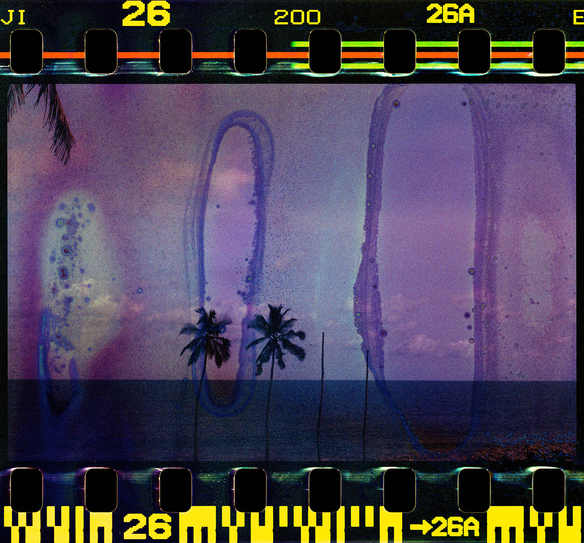 Ana Paula dos Santos: We Are Missing Some