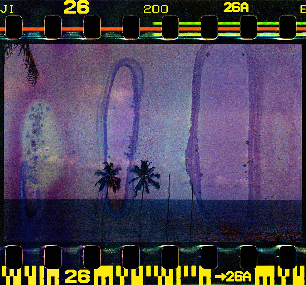 Ana Paula dos Santos: We Are Missing Some