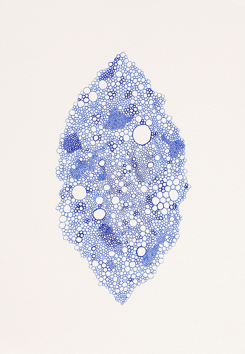 Ghizlane Sahli: 28x4 (bleu et verte)