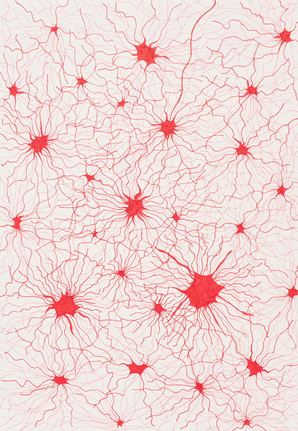 Ghizlane Sahli: 28x4 (rouge)