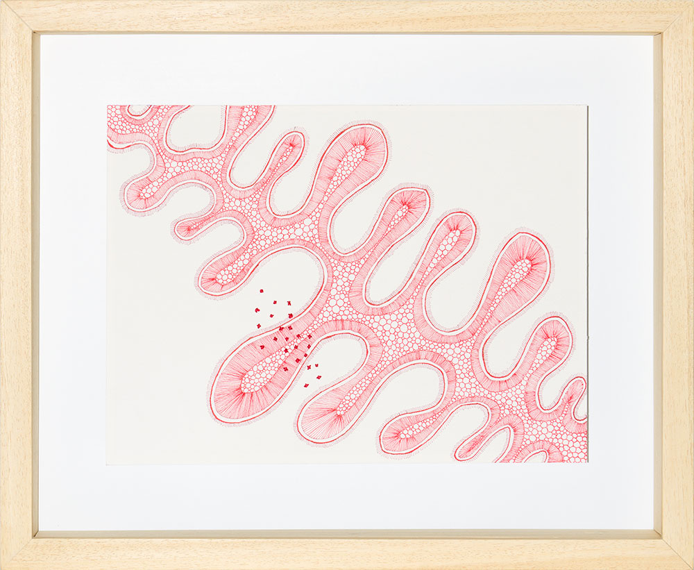 Ghizlane Sahli: Histoires de Tripes (Drawing 002)