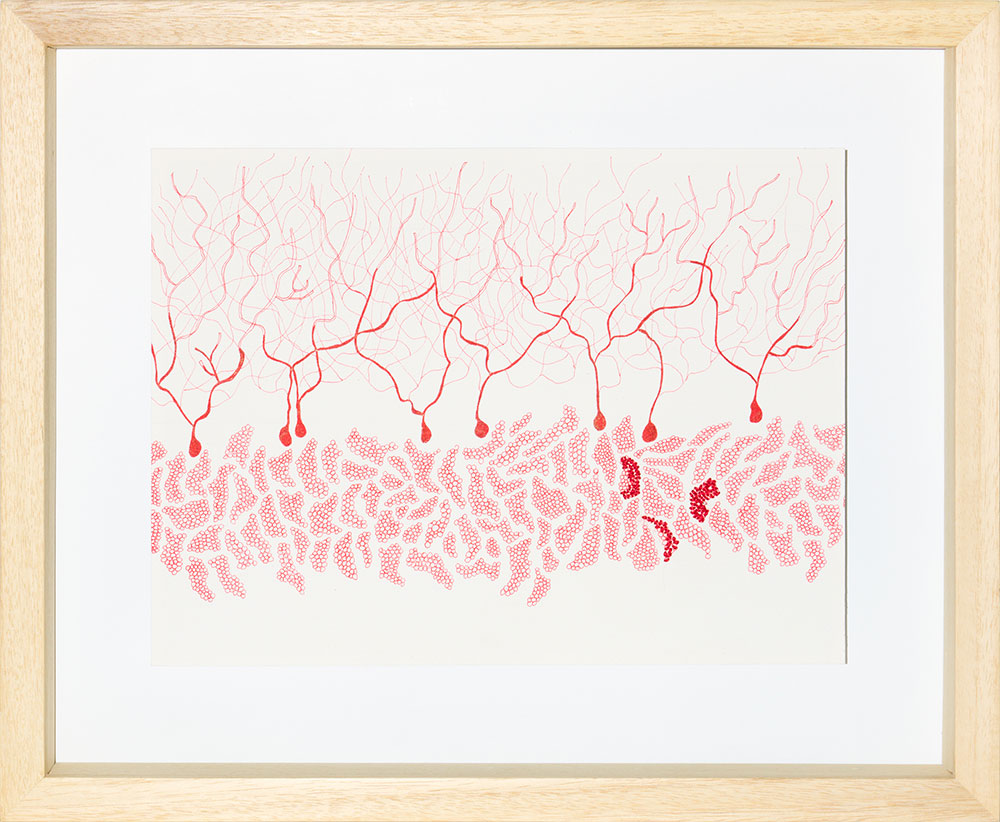 Ghizlane Sahli: Histoires de Tripes (Drawing 004)