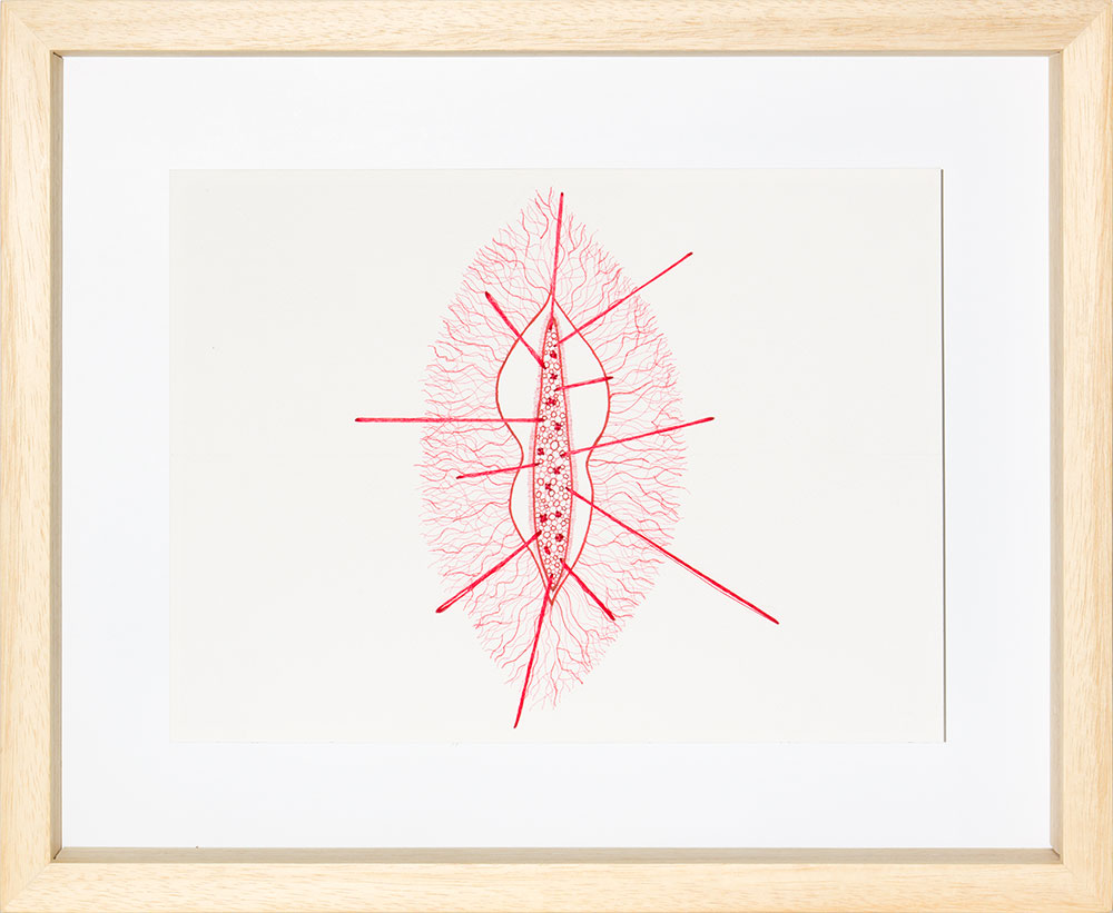 Ghizlane Sahli: Histoires de Tripes (Drawing 005)