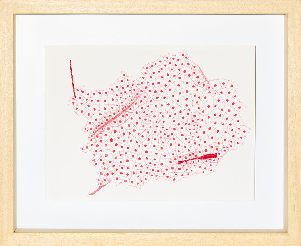 Ghizlane Sahli: Histoires de Tripes (Drawing 006)