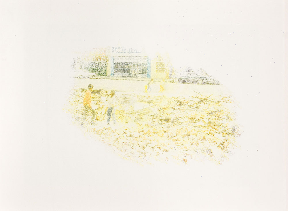 Kevin Demery: Untitled (Menagerie)