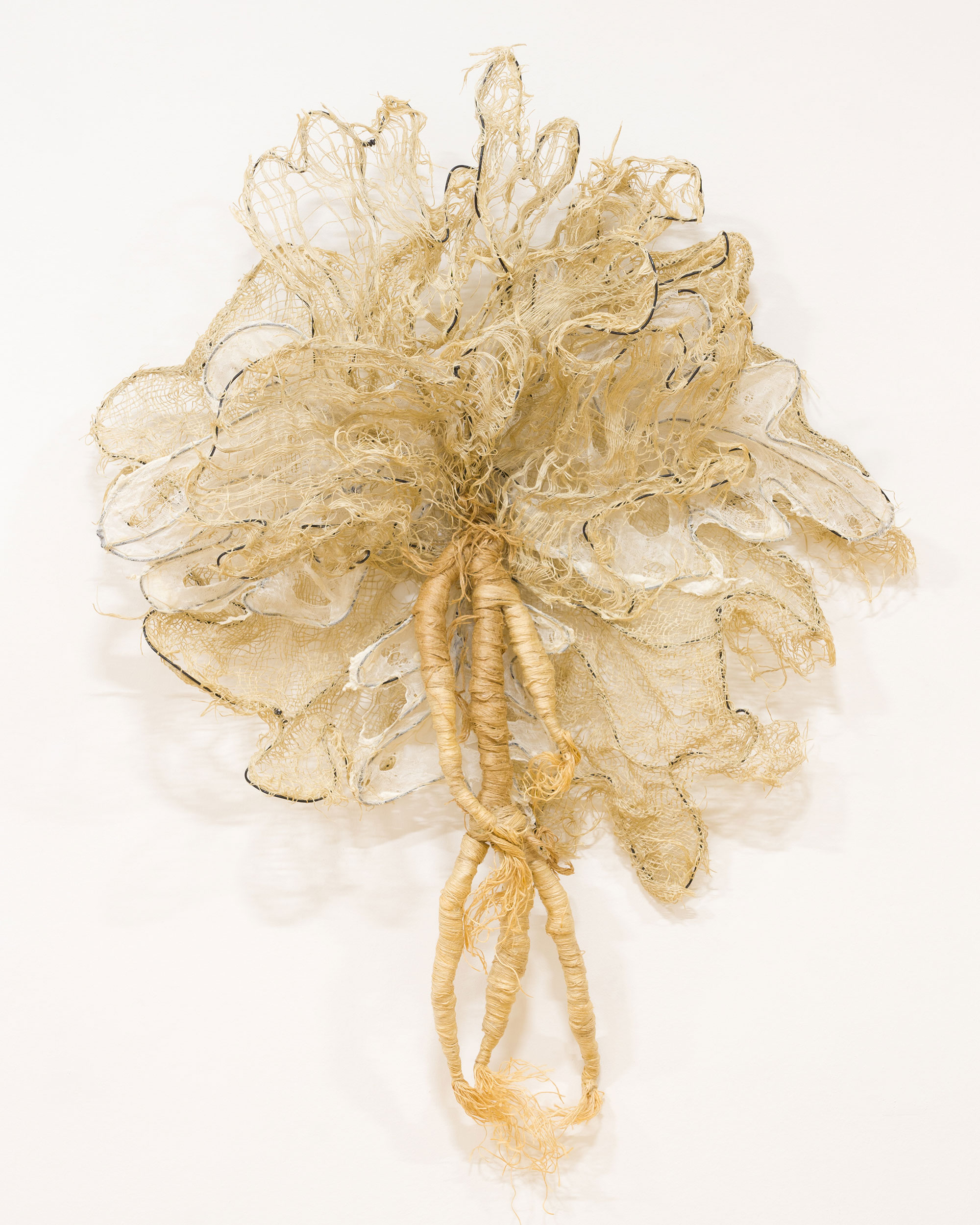 Nnenna Okore: Against the Odds