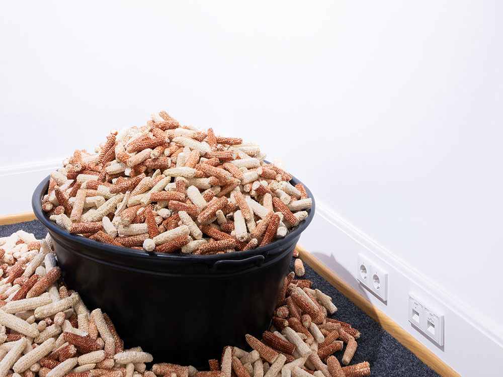 Akwande: still coming of age